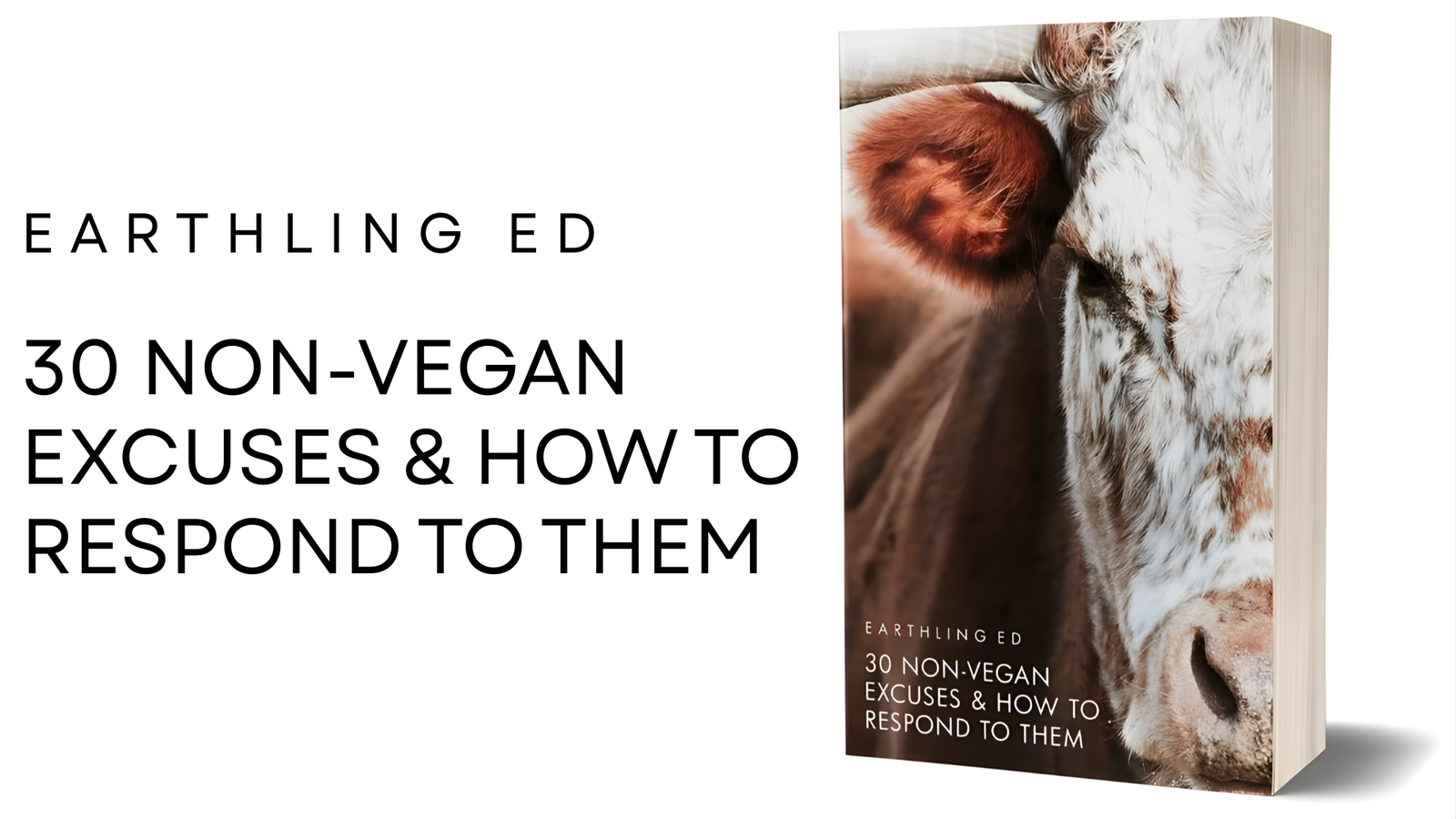 30 NON-VEGAN EXCUSES & HOW TO RESPOND TO THEM